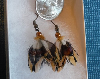 Pheasant Melody Earrings.