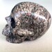 Crinoid Fossil 3 inches skull item1256