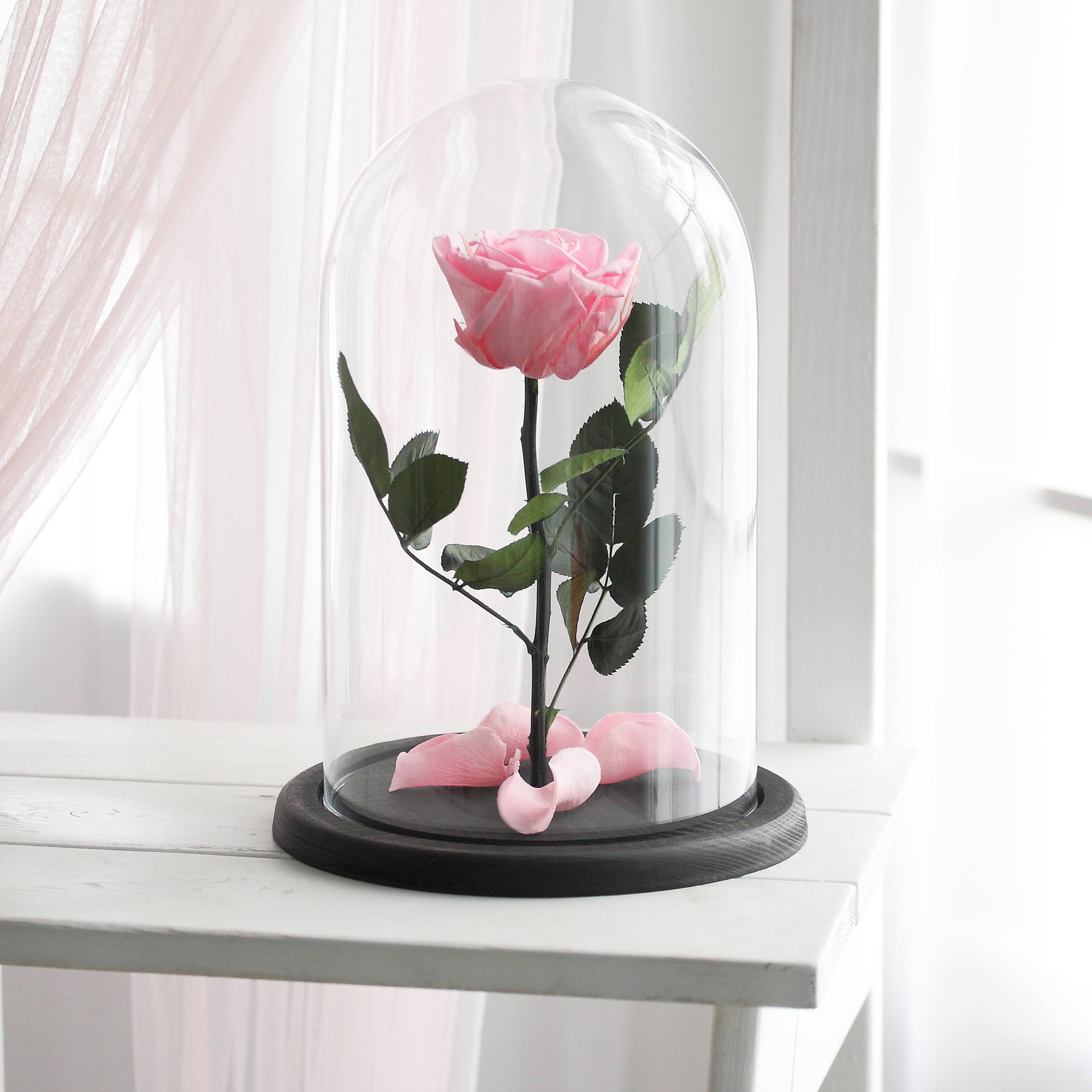 Beauty and the beast rose Enchanted Rose Rose in glass dome