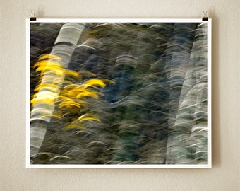 ASPEN DANCE - 8x10 Signed Fine Art Photograph
