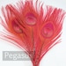 RUBY RED Peacock Feather Eyes (2 size option)(RF) feather for boutonnieres,earrings,wedding bouquets,millinery hat,corsage,fascinator