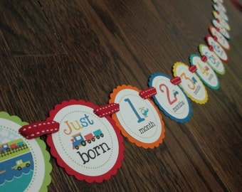 Transportation Collection: Just Born/0-12month First Birthday Photo Picture Banner. First Birthday Banner. First Year. Car Plane Truck