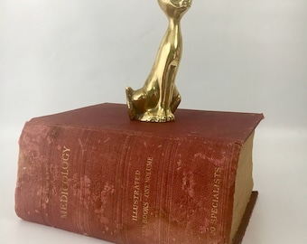 1905 Medicology or Home Encyclopedia of Health Ten Medical Books in One Volume Joseph G. Richardson M.D. 3 Dimensional Illustrations