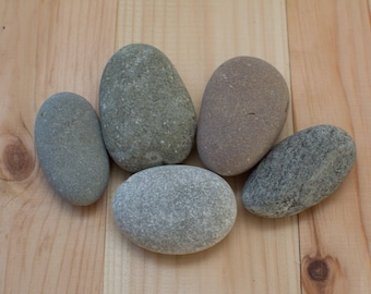 5 Pieces 2" - 2.5" Baltic Sea Stones Baltic Sea Pebbles Natural Sea Stones Beach Rocks