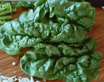 Spinach Seeds- Organic- Bloomsdale Savoy- 200+ Seeds