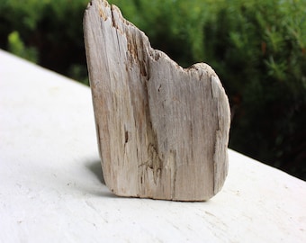 Natural Art Supply , Driftwood for Painting , Surf Tumbled Drift Wood