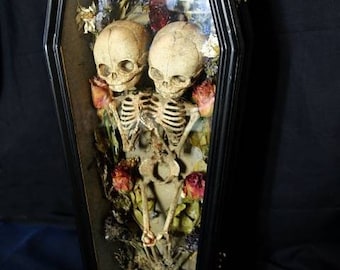 Fetus Siamese twin skeleton in casket handmade skeleton and casket