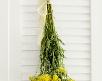 Yarrow Cottage Yellow 8-10 stems