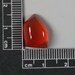 Fire Opal Cab Orange Red from Juniper Ridge Oregon ORPAL15