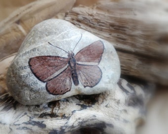 STONE PAPERWEIGHT BUTTERFLY,