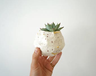 Speckled succulent planter. Gold and speckled planter. The Object Enthusiast planter. Small planter with gold. Valentine's Gift idea.