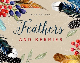 FEATHERS & BERRIES - Watercolor Clipart Graphics