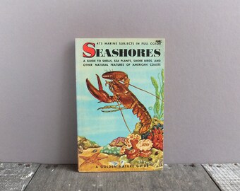 Vintage Seashores Guide Book / Golden Nature Guide Book
