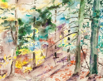 Autumn Forest