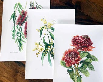 Australian Native Flora (Set of 3) - Limited edition prints (100 only)