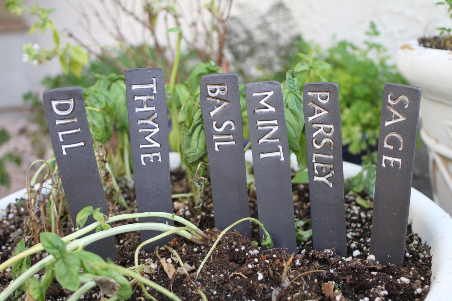 Cool Herb Garden Sign Photos Garden And Landscape Ideas Ditokacom