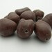 SALE Turquoise (Imitation) Brown Medium Nugget Beads--S