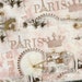 2.5 wide paris apartment pink Eiffel tower frayed torn fabric ribbon 67