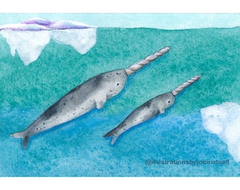 Narwhal, original ACEO