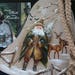 From the North came Travellers