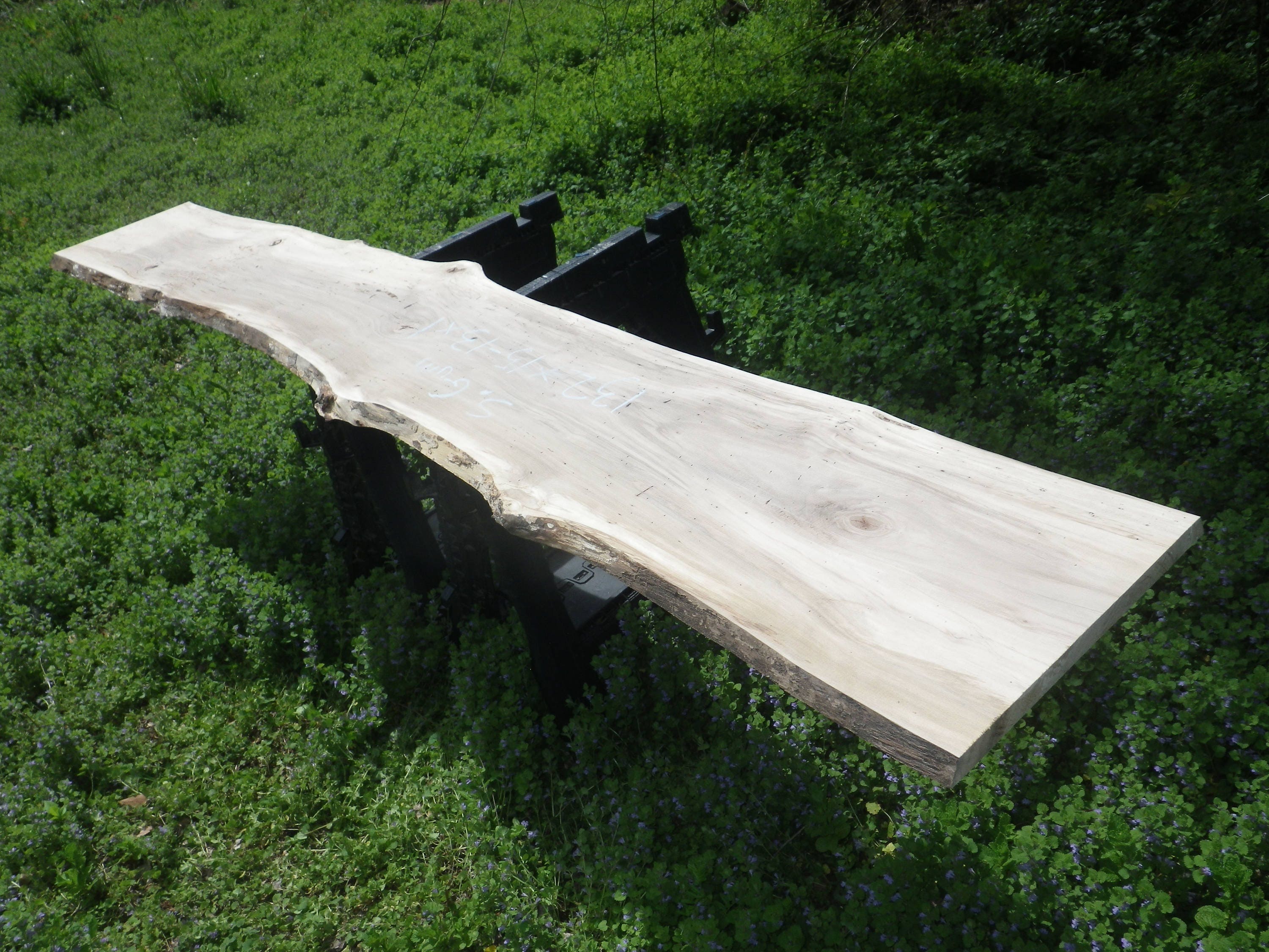 Unfinished Spalted Sweet Gum Wood Slab Save Money with Elbow