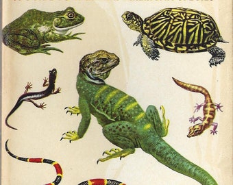 Vintage Reptiles and Amphibians A Golden Nature Guide Book, C1956