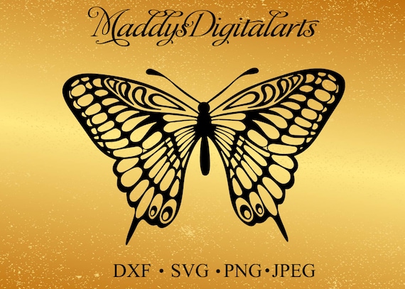 Free Free 170 Cricut Butterfly Mandala Svg Free SVG PNG EPS DXF File