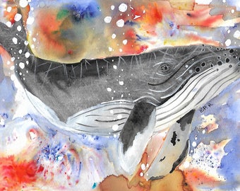 Humpback Whale