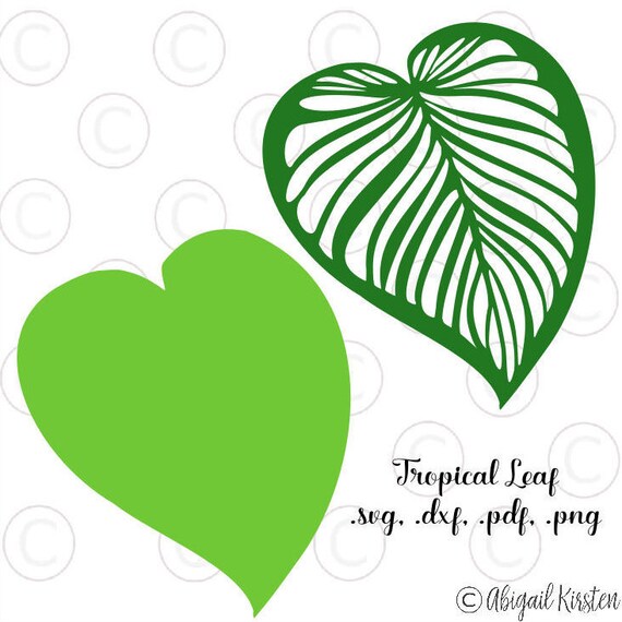 Download Large Tropical Palm Leaf SVG Cut Files, Leafy Cut Files ...
