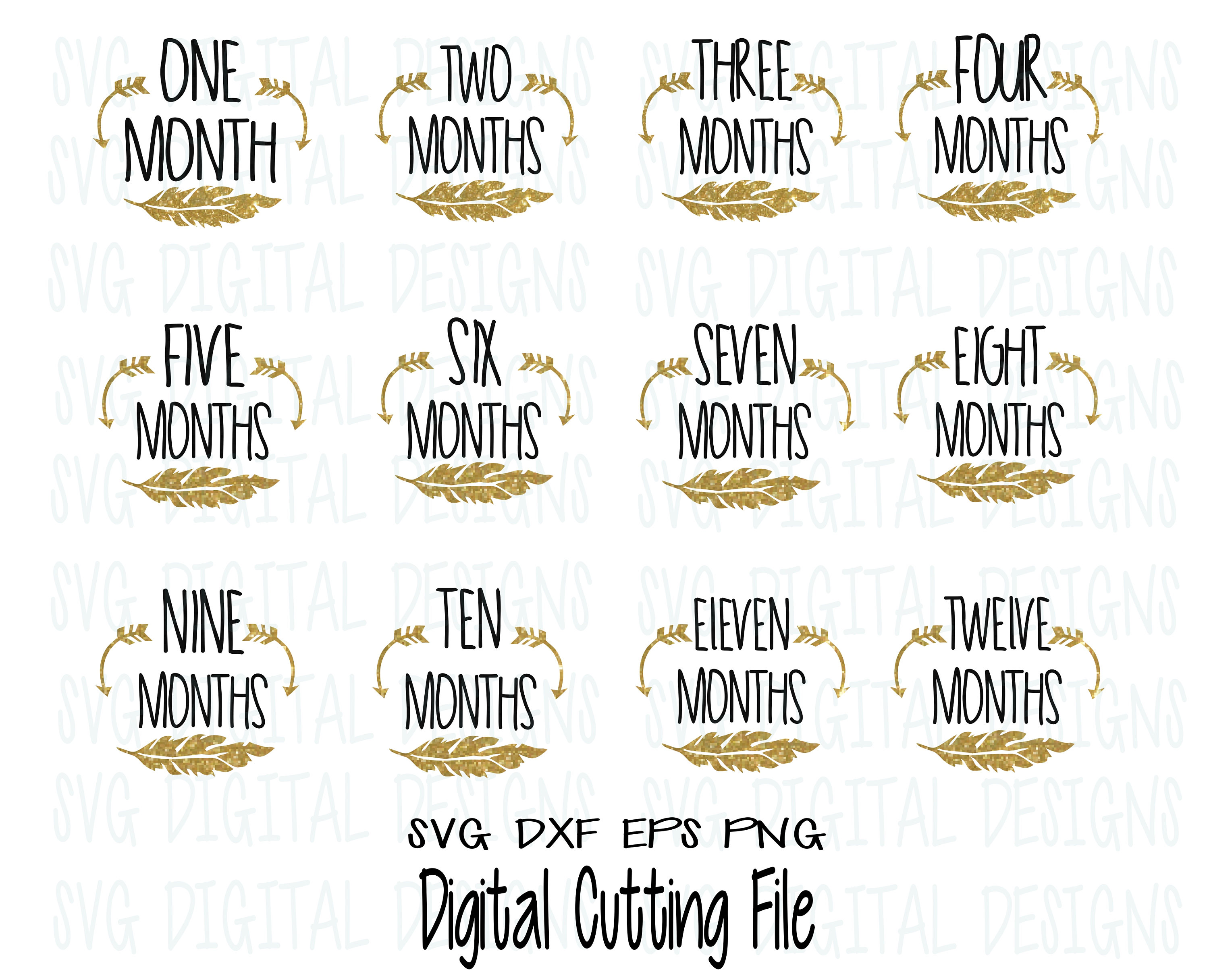 Download Baby Milestone Svg cut files Baby Month Sticker svg Monthly