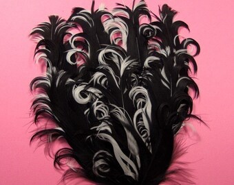Curled Nagorie Feather Pad, Black On White.