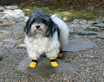 Dog Rain And Mud Boots / Custom Made Gortex Dog Boots/ /Dog mud Boots / Need Actual Measurements In Note Box .