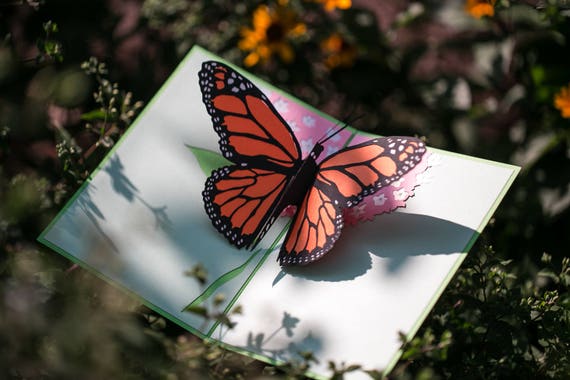 butterfly pop it