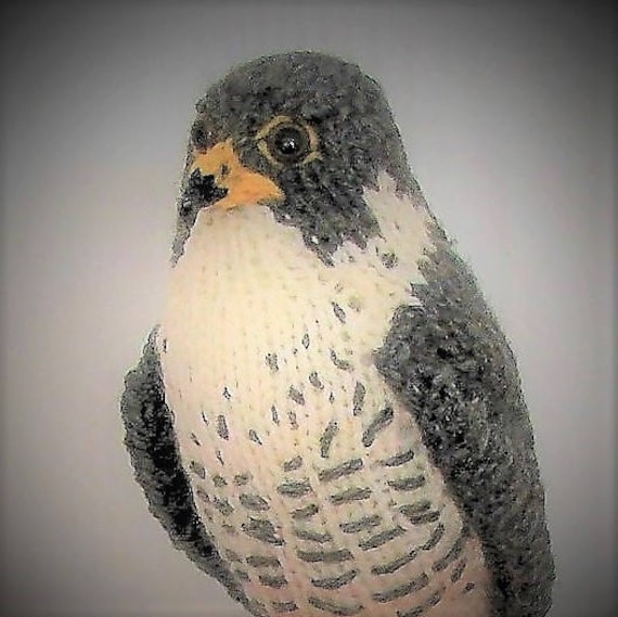 stuffed peregrine falcon