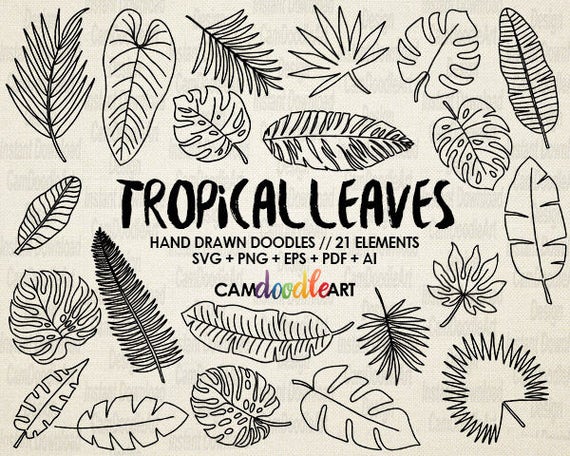 Download 21 Doodle Tropical Leaves Vector Pack Hand Drawn Doodle