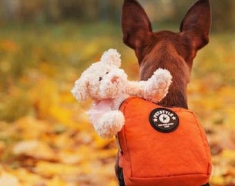 Good Quality Backpack for Dog. Very Cute Dog Backpack