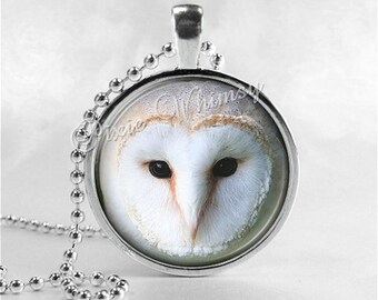 BARN OWL Necklace, Owl Necklace, Owl Jewelry, Owl Pendant, Owl Charm, Bird Necklace, Bird Pendant, Bird Charm, Glass Photo Art Necklace