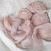 Morning Storm - Hand Pulled Roving, SLUB TWEED - merino/silk/camel/firestar
