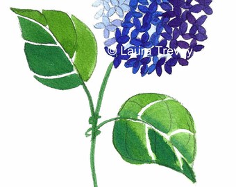 Blue Hydrangea Watercolor Print