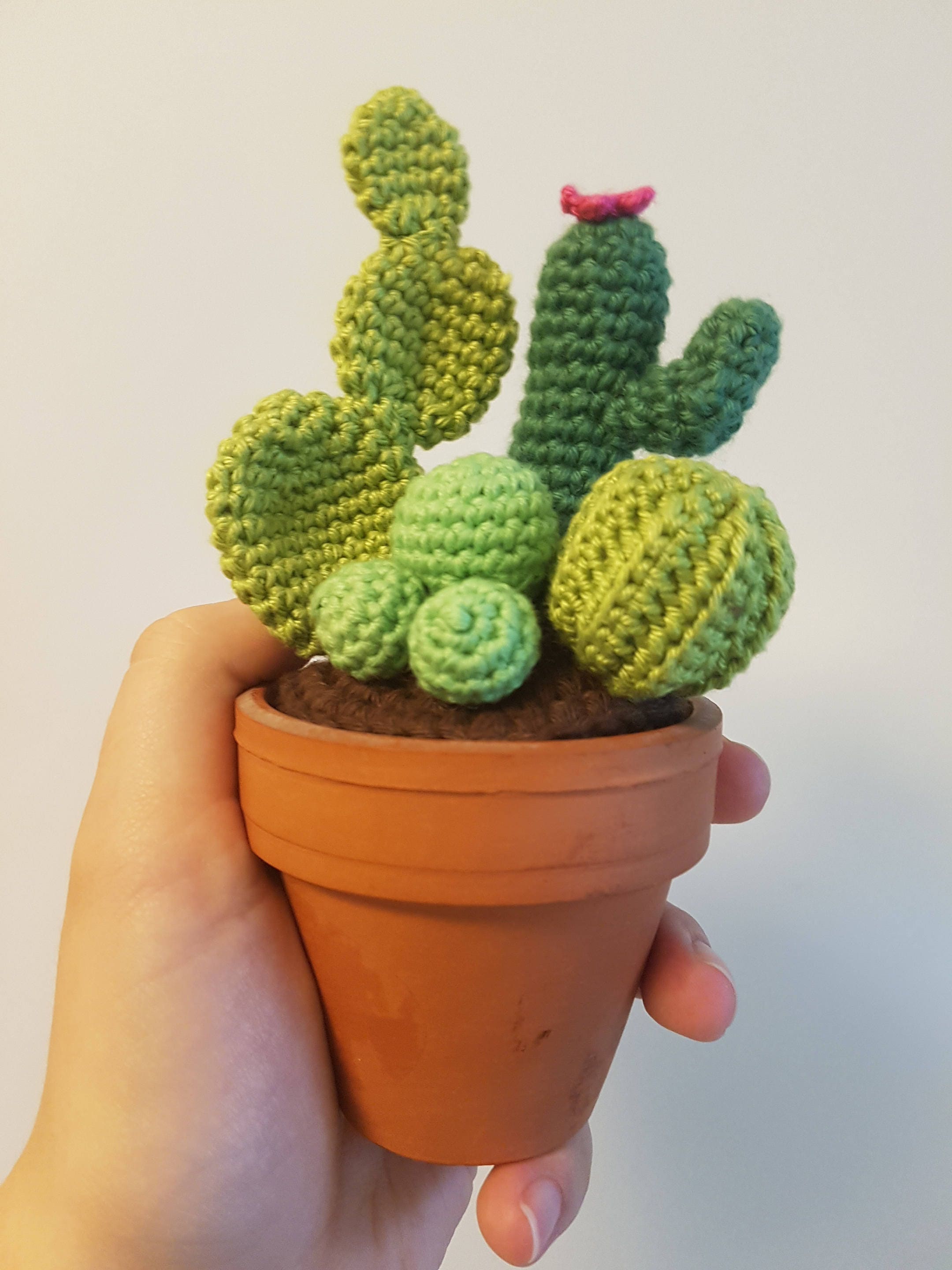 Amigurumi cacti pattern pdf cute cactus