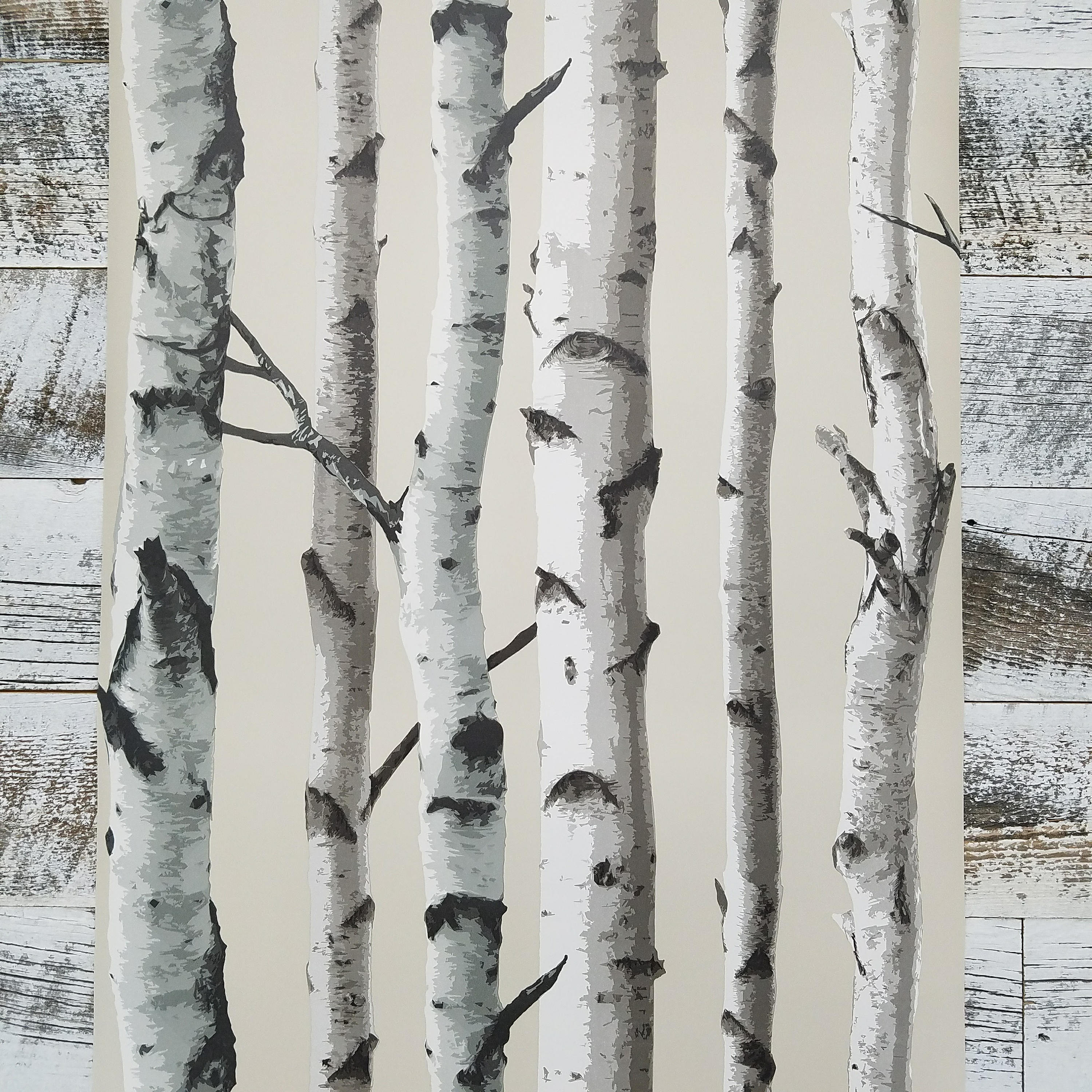 Birch Trees Peel and Stick Wallpaper NU1650 Sold by the Yard