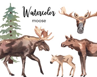 WATERCOLOR CLIPART, moose clipart, watercolour woodland animal deer clipart set, commercial use, png files, clip art, png, digital, nursery