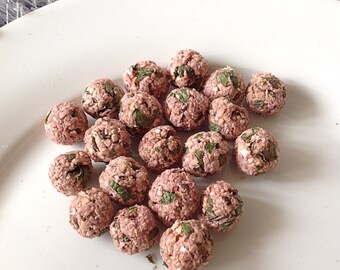 Mint and mixed berries digestive assist pops, pet rabbit treats, pet rabbit food, pet bunny treats