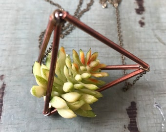 Air Plant Necklace