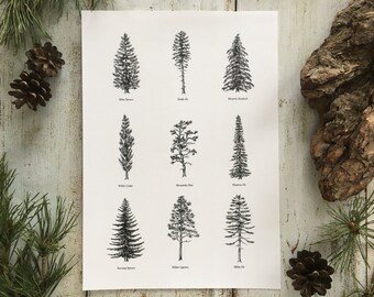 Evergreen Trees II - Print A4