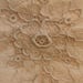 Fine Antique Embroidery on Netting on Standard Pillow from 1920's