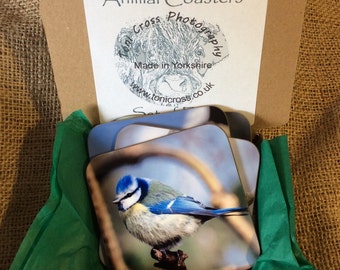 British Birds Coaster Set