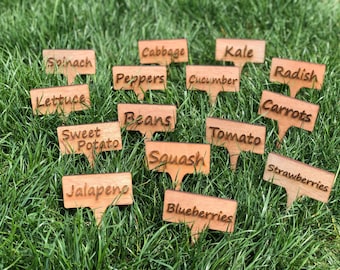 Fruit/veggie garden stakes