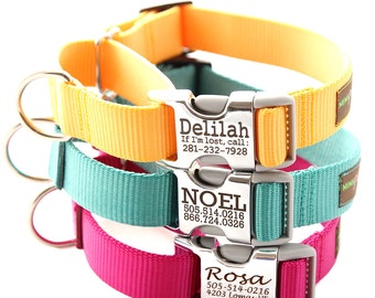 Buckle Martingale Dog Collar - Personalized with 27 Nylon Webbing Colors to Choose From - Limited Slip Dog Collar w Buckle