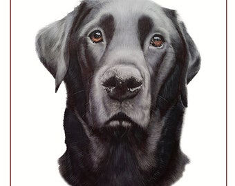 Fine Art Black Lab Greetings Card